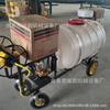 Pulverizador pequeno de frutas para jardim, máquina de pulverização a gasolina de empurrar à mão, máquina de pulverização para lavoura de trigo, milho e arroz