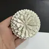 Acessório de Moda de Seda de Alta Qualidade 8cm Flor de Camélia Ultra-Resistente com Broche e Presilha Dupla Utilização