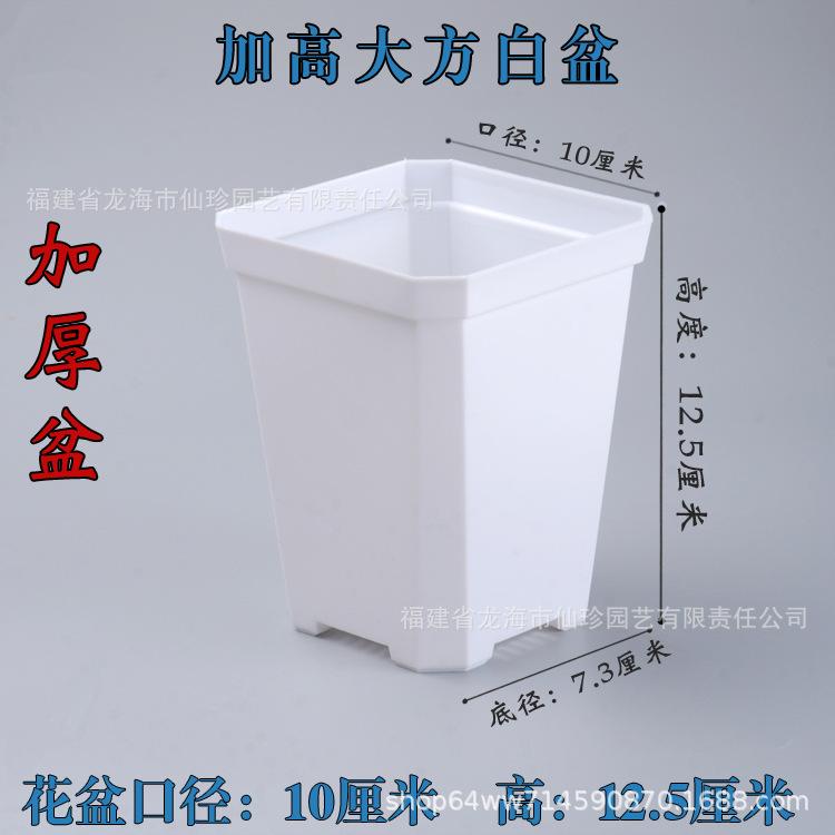 大白加高盆.jpg