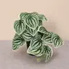 Hojas de begonia artificiales de pared, planta tortuga miniatura, planta tortuga pequeña, hoja de sandía miniatura, planta para micro paisajismo para decoración de pared, planta de interior con follaje verde