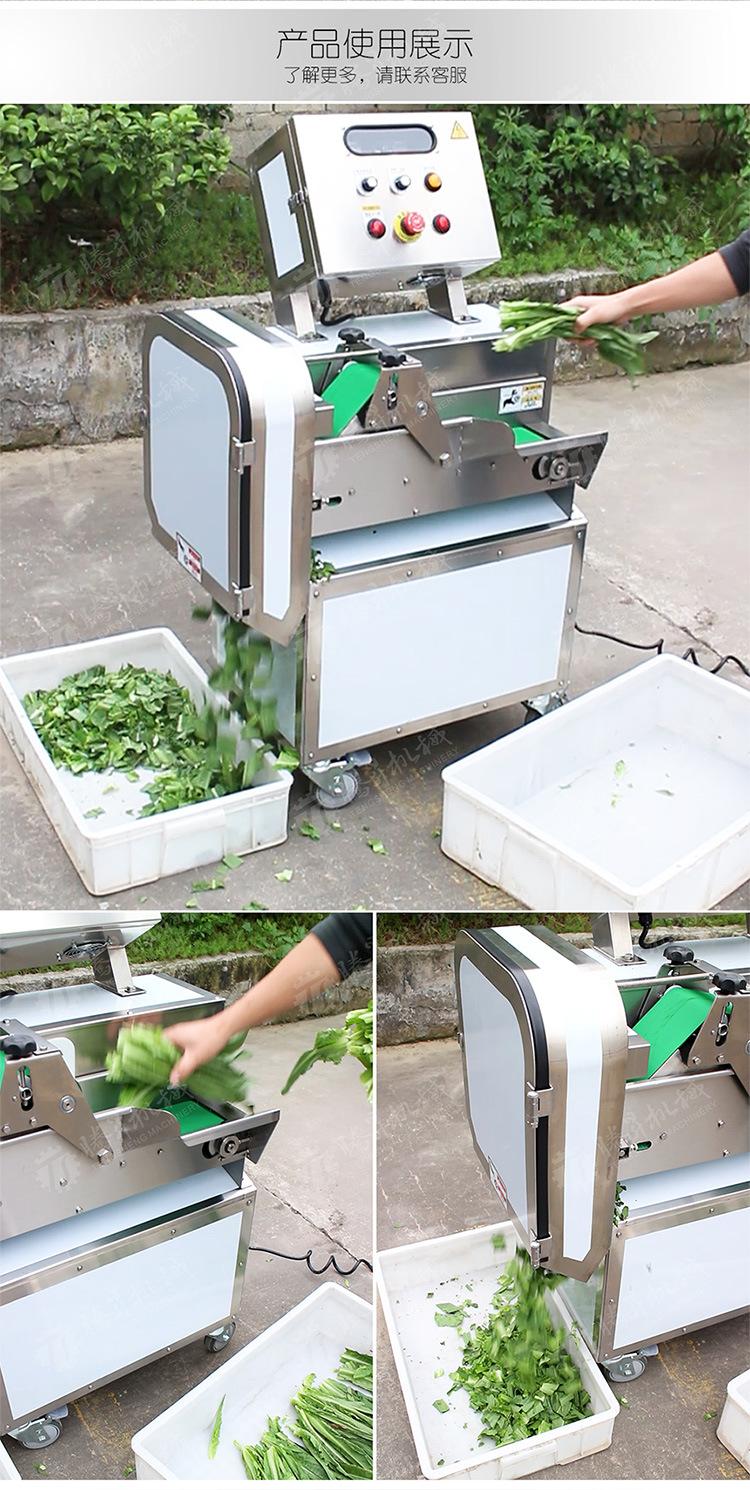 TS-Q115B-单头切菜机-详情页(750px)_02.j