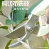 Tijeras de jardinería, tijeras de podar, tijeras para flores, tijeras de jardín, tijeras florales, tijeras para árboles, tijeras para árboles frutales, tijeras para ramas, tijeras para podar flores