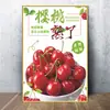 Supermercado de Frutas e Verduras Loja de Frutas Decoração de Parede Pinturas Penduradas Pôsteres Adesivos Suprimentos Placa KT Adesivos de Parede Murais Publicitários