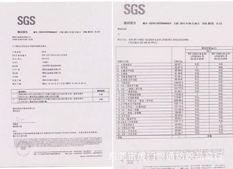 SGS副本