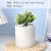 Vasos de Porcelana Branca para Flores Transfronteiriços Amazon Vasos Cerâmicos para Suculentas Simples Criativos Preto e Branco para Interior Vasos para Orquídeas Plantas Verdes