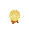 Luminária de bola de rattan criativa transfronteiriça, projeção do céu estrelado luz da lua, decoração de cabeceira nórdica, luminária de mesa USB, luz noturna LED portátil