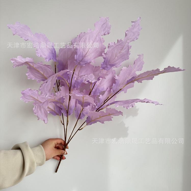 微信图片_202303241647078_副本
