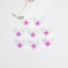 Narcisos de 12 mm cuentas de flor de cerezo productos semiacabados joyería accesorios DIY collar aretes pulsera flor de durazno flor seca flor real