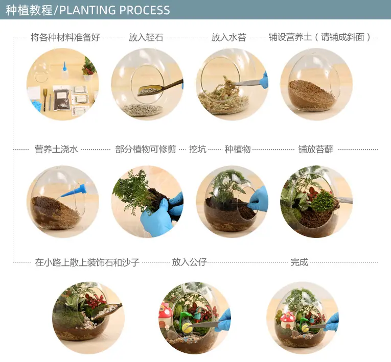 种植过程.jpg