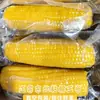 Maíz Glutinoso Amarillo del Noreste 0 Aditivos Nuevo Producto Empacado al Vacío Maíz Amarillo Delicioso Pegajoso Glutinoso Fresco Granos de Maíz Dulce Pegajosos No Listos para Comer