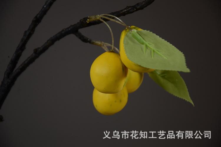 2-8黄色欧罗梨子.JPG