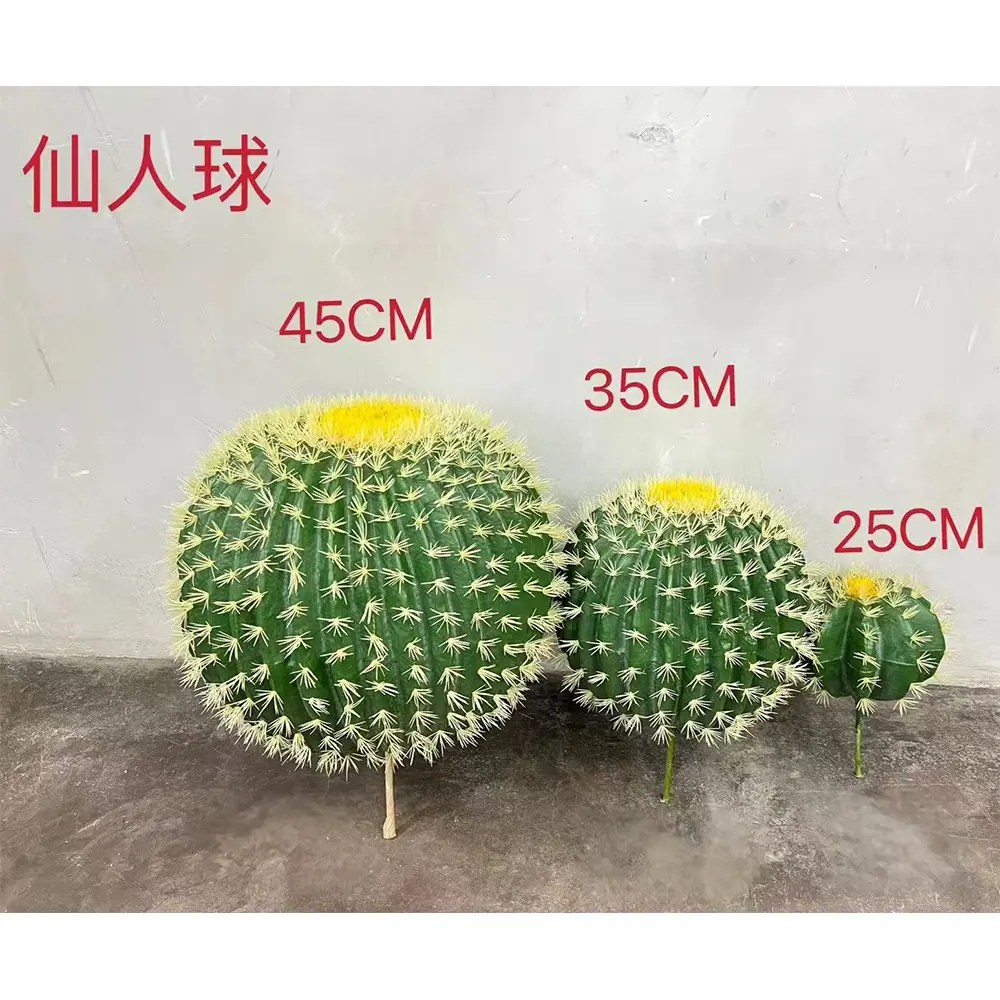 白刺仙人球.jpg