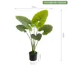 Plantas Artificiais Estilo Nórdico em Estoque para Atacado, Planta Artificial de Taro Torto, Plantas Verdes Falsas para Paisagismo, Plantas em Vasos para Decoração de Piso Interno para Sala de Estar