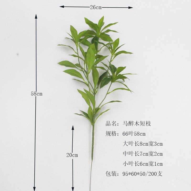 马醉木 (10).jpg