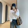 Camiseta feminina de manga comprida, estilo coreano, caimento solto, divertida, com bordado de ovelhinhas, modelagem ampla que afina, perfeita como camada interna ou base, nova coleção outono 2026