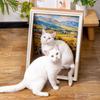 Marco de Pintura al Óleo Tablero Rascador para Gatos, Cama Integrada para Gatos, Rascador de Cartón Corrugado, Protección de Sofá Contra Arañazos de Gatos, Tablero Rascador para Gatos, Juguete para Gatos