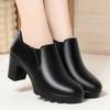 Zapatos de tacón alto de plataforma gruesa con punta redonda de pelo para mujer, tacón grueso, Joker, nuevos para primavera y otoño, zapatos de cuero impermeables para mujer