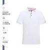 Gola de trabalho com logo personalizado Camiseta equipe corporativa Publicidade Camisa cultural manga curta Roupa de trabalho Camisa polo bordado