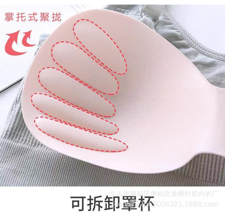 微信图片_20230329203604.jpg?x-oss-process=image/format,png