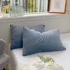 2025Funda de Almohada de TerciopeloFunda de Almohada de Terciopelo Artículo Individual Funda de Almohada Color Sólido Cálida y Suave Artículo Individual Funda de Almohada