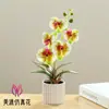 Flor Artificial Phalaenopsis de Quatro Folhas Bonsai Flor Artificial Decorações de Interior Fornecimento Direto da Fábrica Vasos Artificiais Flor Artificial de Seda