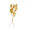 Folhas Ricas Tingidas Únicas Flor Eterna Material Flor Seca Folha Seca Material Decoração de Casamento Atacado em Estoque