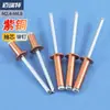 Remache ciego de acero inoxidable cabeza plana traje clavo de tracción de aluminio tapa grande cabeza redonda cabeza avellanada perno remache de tracción cobre