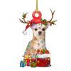 Nuevo Colgante Navideño Acrílico para Perro Transfronterizo Adornos Navideños Decoración para el Hogar Paquete de Colgantes para Árbol de Navidad