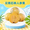 Fruta de Ginseng de Shilin, Yunnan, entrega 3/ 2.5kg Fruta de ginseng madurada en árbol, jugosa, dulce, fruta fresca de tamaño grande y mediano