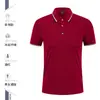 Overol de verano Grupo de desarrollo de camisetas Herramientas de empresa Camisa publicitaria Cultura Camisa polo Seda de hielo Manga corta Logotipo