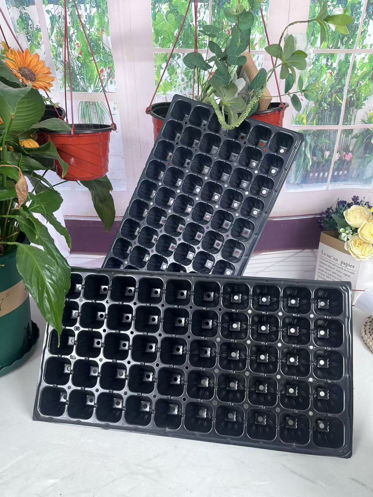 微信图片_20241105100134