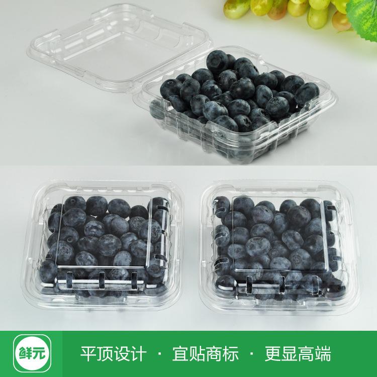 蓝莓盒250克透明塑料水果包装盒_主图-包装效果1