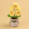 Planta Emocional Planta em Vaso Feita à Mão de Crochê com Etiqueta em Inglês, Flor Artificial de Lã, Fornecimento de Presente Transfronteiriço