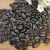 Guijarros negros pulidos y abrillantados para paisajismo de patios, pavimentación, piedras de drenaje de aguas pluviales, guijarros para pavimentación de acuarios y estanques