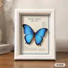 Borboleta Real Cauda de Andorinha Azul Moldura para Foto com Espécime Arte Produto Acabado Moldura de Exibição Presente de Aniversário para Meninos Casais Namorada Tridimensional
