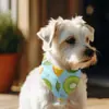 Nombre Personalizado Teléfono Bordar Etiqueta con Nombre Perro Gato Mascota Bufanda Triangular Babero para el Cuello Bufanda Shiba Inu