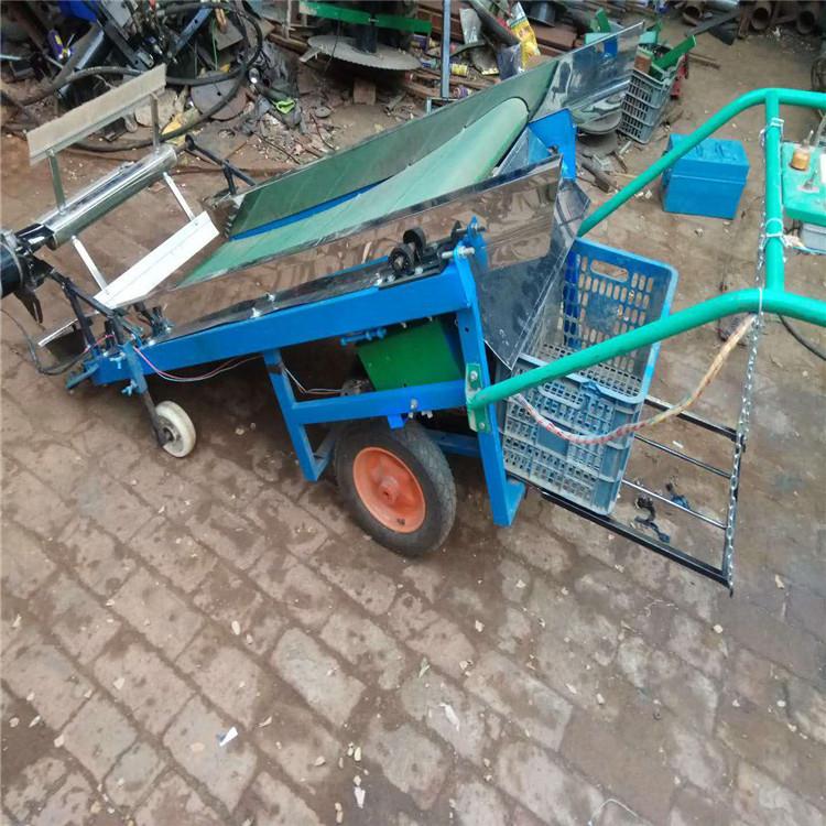 20ce65a8246ecbda7ea5a2a214a1aa