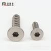 Tornillos Autorroscantes de Cabeza Hexagonal Avellanada de Acero Inoxidable 304 Joys Tornillos Autorroscantes de Cabeza Hexagonal Plana M3m4m5