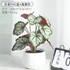 Decoração de planta em vaso de planta verde para simulação transfronteiriça sala de estar bar flor artificial flor de simulação decoração de flor de alto nível