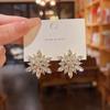 2024 Corea del Sur Nuevo Super Flash Exquisitos Aretes de Copo de Nieve de Diamantes Completos para Mujer Ins Trendy Exagerados Aretes Geométricos Aretes