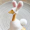 Comercio Exterior Amazon Transfronterizo Nuevo Estilo Crochet Hecho a Mano Puro Mini Escritorio Ganso Decorativo Conjunto de Ropa Producto Terminado Venta al por Mayor