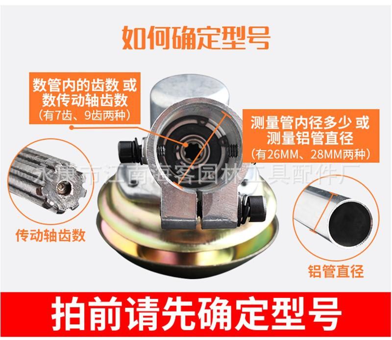 确定型号
