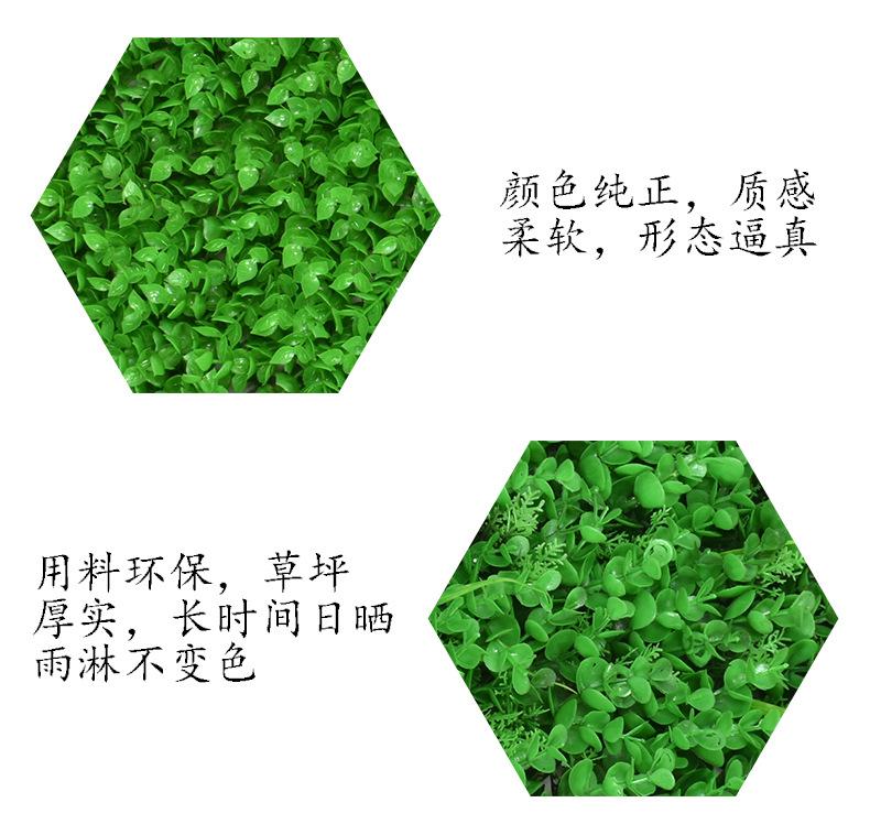 植物墙详情_02.jpg