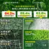 Parede de Plantas Simuladas Parede de Plantas Verdes Tridimensional Flores Artificiais Bíônicas Superfície de Parede de Fundo Paisagem Decoração de Parede Externa de Loja