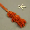 Flores Secas, Cola de Conejo, 60 Piezas/Manojo, Ramo de Lujo Ligero, Adornos de Flores Reales, Pequeño Ramo de Flores Eternas Regalo, Materiales de Flores Reales