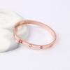 Pulsera de Hebilla Estilo Clásico con Diamantes, Versiones Ancha y Estrecha, Acero de Titanio Oro 18K, Envío Rápido de Fábrica, Oro Rosa