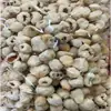 Lichi Liofilizado Materiales Medicinales Chinos Materiales Medicinales Chinos Lichi en Cubos Calidad Seleccionada Lichi Liofilizado Remojado en Agua