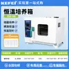 Incubadora de Temperatura Constante con Calefacción Eléctrica Laboratorio Microbiología Bacterias Semillas Germinación Moho Bioquímico Humedad Constante Pantalla Digital Dedicada