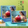 Túnez Caja de Empaque de Semillas Suaves Caja de Regalo 8 Piezas 10 Piezas Empaque Caja de Regalo de Frutas Caja Vacía Personalización