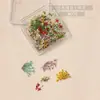 Decoraciones de Flores Secas para Uñas, Pequeños Fragmentos Florales, Decoraciones de Flores Reales, Fragmentos Florales de Color Mixto, Decoraciones Pequeñas para Uñas al por Mayor
